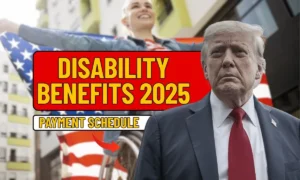 100% VA Disability Benefits List 2025, Payment Schedule and Eligibility